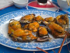 碳烤生蚝-幸福姐海鲜大排档