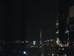 -唐拉雅秀酒店-唐苑中餐厅