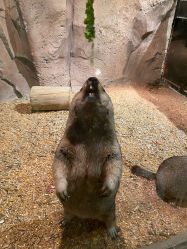 -酷嗒动物文化乐园(cutezoo西溪乐天城店)