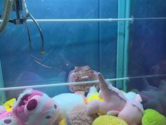 -CIAO·团建聚餐·生日派对轰趴馆(福田店)