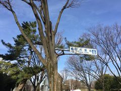 -名古屋城
