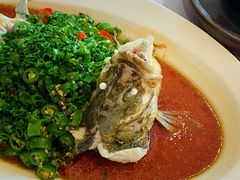 椒麻蒸桂花鱼-玫瑰厅上海菜(兴国路店)