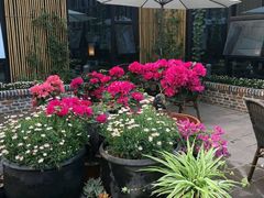 -瓦库茶馆17号(海汇港店)