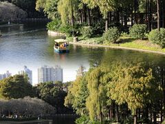 -晓港公园