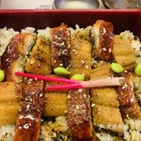 高性价比大🐯寿司🍣！