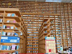 -朵云书院(滴水湖店)