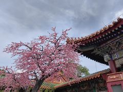 -珠海圆明新园