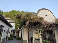 -宁波柏悦酒店·钱湖渔港