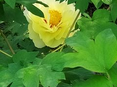 -白塘生态植物园