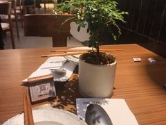 -CURRY YA 熟成咖哩專門店(深圳湾万象城店)