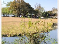 -柳浪闻莺公园