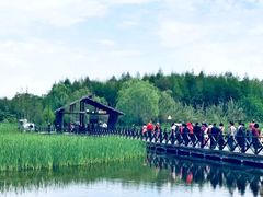 -溱湖国家湿地公园