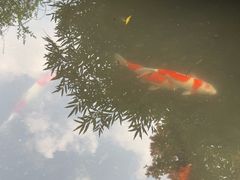 -中国茶叶博物馆(双峰馆区)