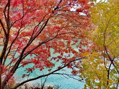 -叠溪松坪沟景区
