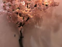 -樱花里音乐餐吧·牛扒椰子鸡(东圃店)