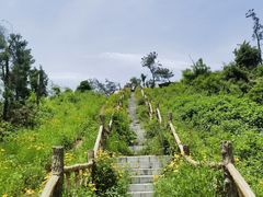 -青龙山国家森林公园
