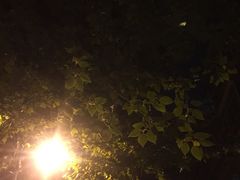 -山东大学(千佛山校区)