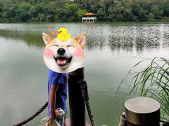 -深圳仙湖植物园-停车场