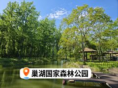 -合肥滨湖国家森林公园