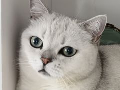-宠颐生中康贝怡动物医院