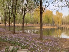-东郊湿地公园