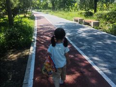 -绿堤公园