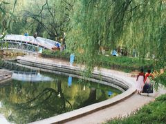 -满都海公园
