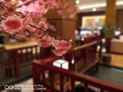 -大江户·温泉洗浴(浑南店)