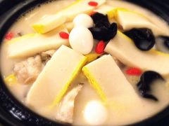 鱼-楚畹园