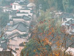 -塔川景区