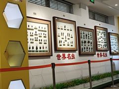 -上海昆虫博物馆