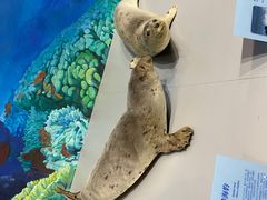 -大连自然博物馆·地球展厅