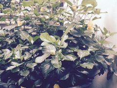 iphone_upload_pic-SUITSUPPLY(安福路店)