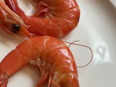 -怡聚轩全日制自助餐厅(大中华喜来登酒店)