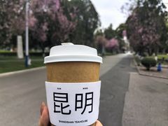 -云南师范大学(一二一西南联大校区)