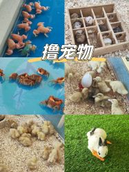 -欢乐舟·舟舟玩乐园