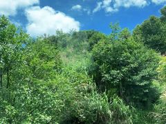 -萍乡武功山风景名胜区