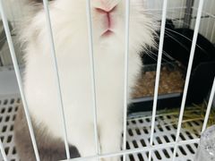 -小意思咖啡店(草桥店)