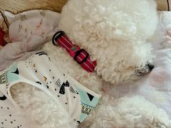 -爱侣宠医·鹦鹉专科·小型哺乳类·异宠专科(灵石路店)