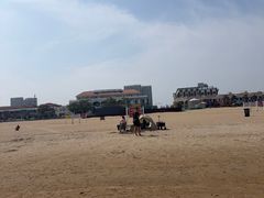 -南戴河旅游度假区