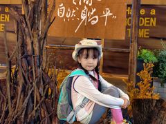 -首开·龙湖成都西宸天街