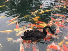 -湖鲜楼