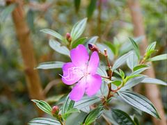 -广州市白云山风景名胜区