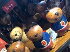 -猫咪博物馆(顶澳仔猫街店)