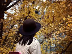 -腾爱熊猫咖啡生活馆(老东门店)