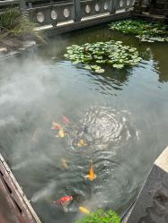 点击看大图 -安琪朵朵独栋花园月子中心