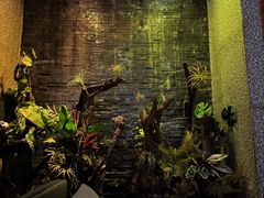 -泰适SPA馆丨精油·按摩·足道(后海地铁口店)