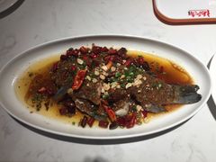 -杨氏青龙虾·羊蝎子(金盛路总店)
