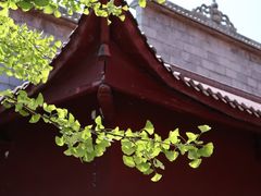 -长沙黑麋峰国家森林公园