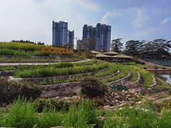 -迪茵湖田家舍生态农场